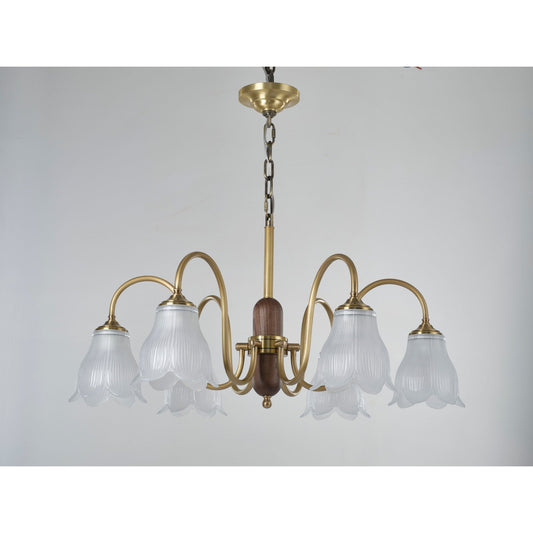 
Supplier real front product photograph of the six-light chandelier unlit